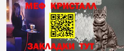 стаф Дубна