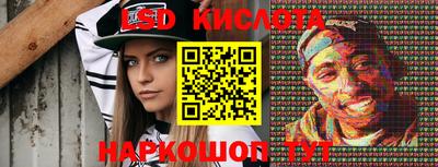 стаф Дубна