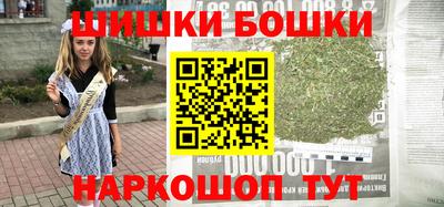 стаф Дубна
