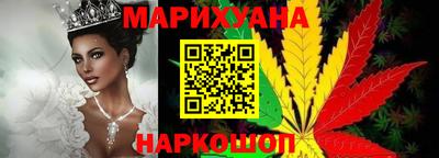 стаф Дубна