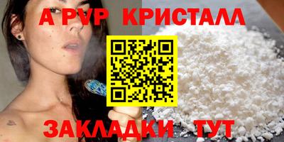стаф Дубна