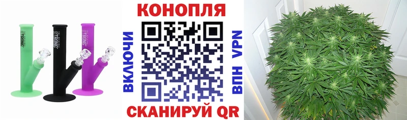 дарнет шоп  Набережные Челны  Шишки марихуана ГИДРОПОН 